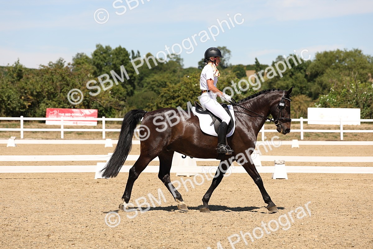 SBM_002778 - Elementary 4