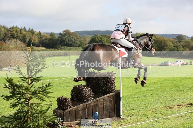 231020-115725-06852 - 057-OVERTON.TILANA'S.GOLD-Claire.Deuten-XC