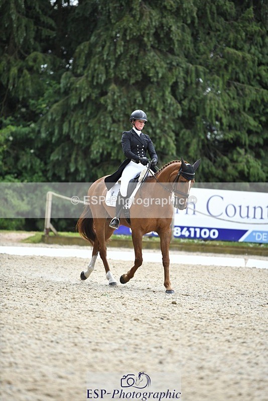 230525-130355-02090 - 113-I'M_A_WONDER-Rosie_Fry-WEDTrotUp+DR