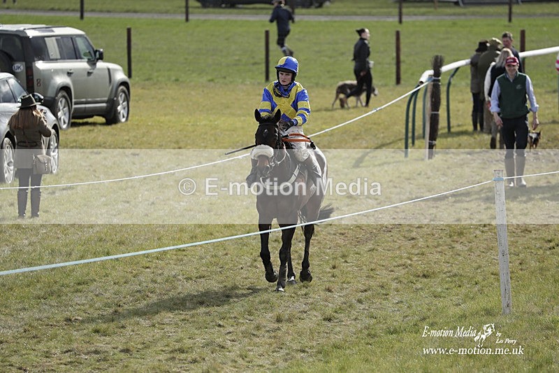 PtP 180323 739 - Shelfield Park Races with Croome & West Warwickshire Hunt  18/03/23