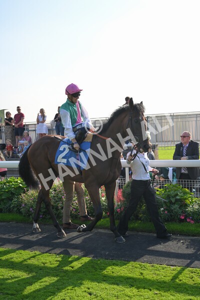 yr05092021r6-2 - Race 6 4.50pm Hanson Spring Stakes