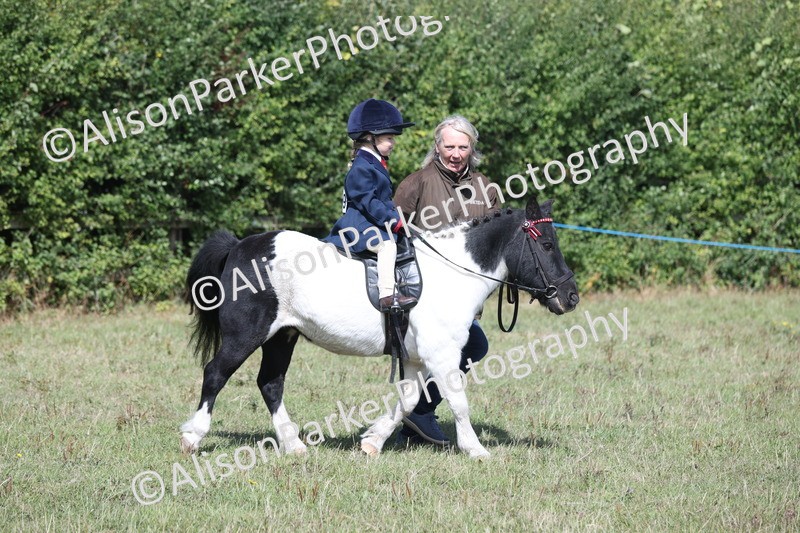 20250831-2639 - Class 17 - Lead Rein Pony