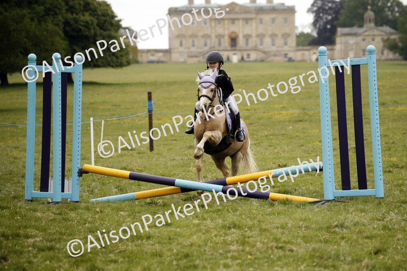 20250517-0911 - Class 2 - 30cm Off Lead Rein