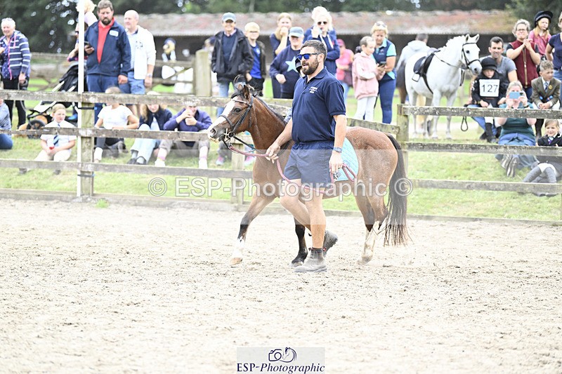 240822X-133607-08291 - 40cm LR R2 13.00 to 15.00