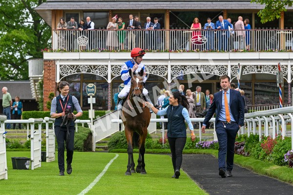 250524-Race 1-Tiriac-2728 - Race 1 1.35pm William Hill Keep Your Raceday Positive Handicap