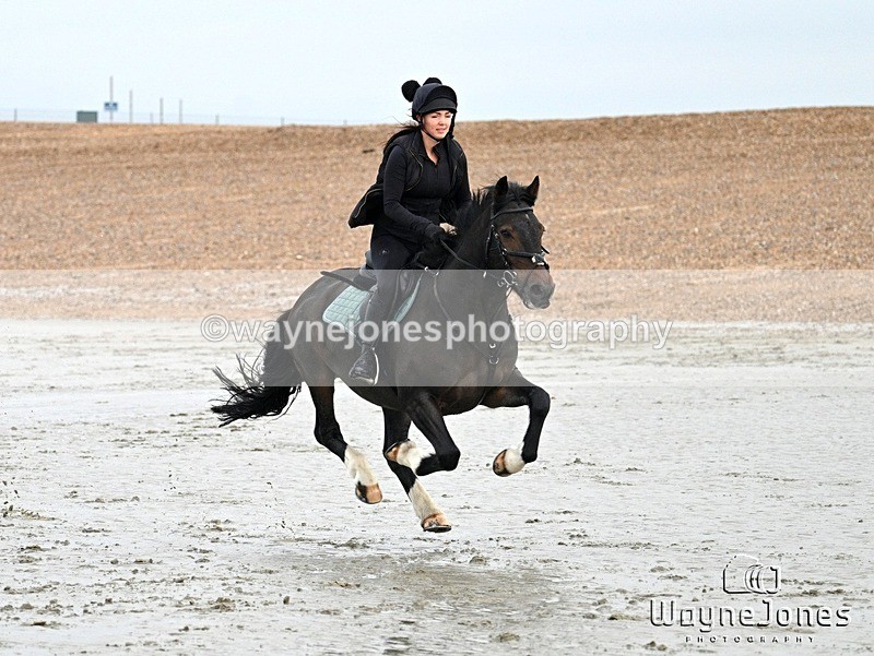 WJ7_9385 - Hayling Island Beach Shoot 22-09-24