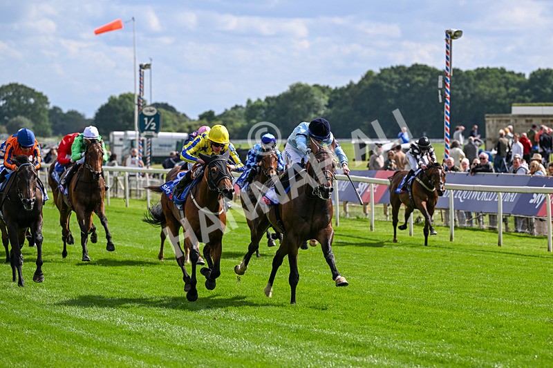 120626-Race 5-Antipodes-7817 - Race 5 16.10pm Sky Bet The World's Gone Football Handicap