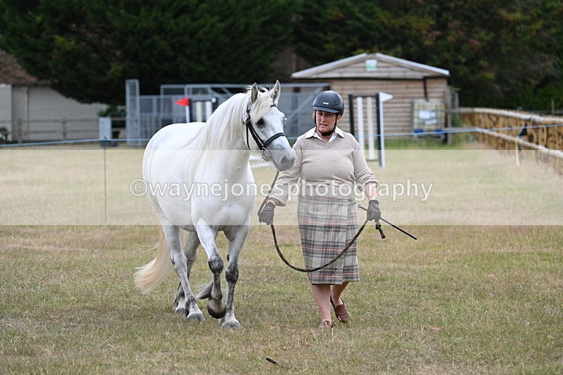 WJ7_9022 - Class 4a Prettiest Mare 14.2hh and over
