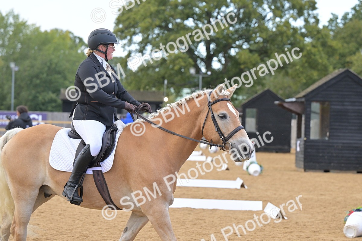 SBM_11164 - D3 - Small Tour Championship Intro 3