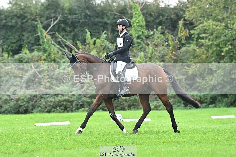 241024-144336-04349 - 584-Tommy.Greengard-I'M.ALL.IN