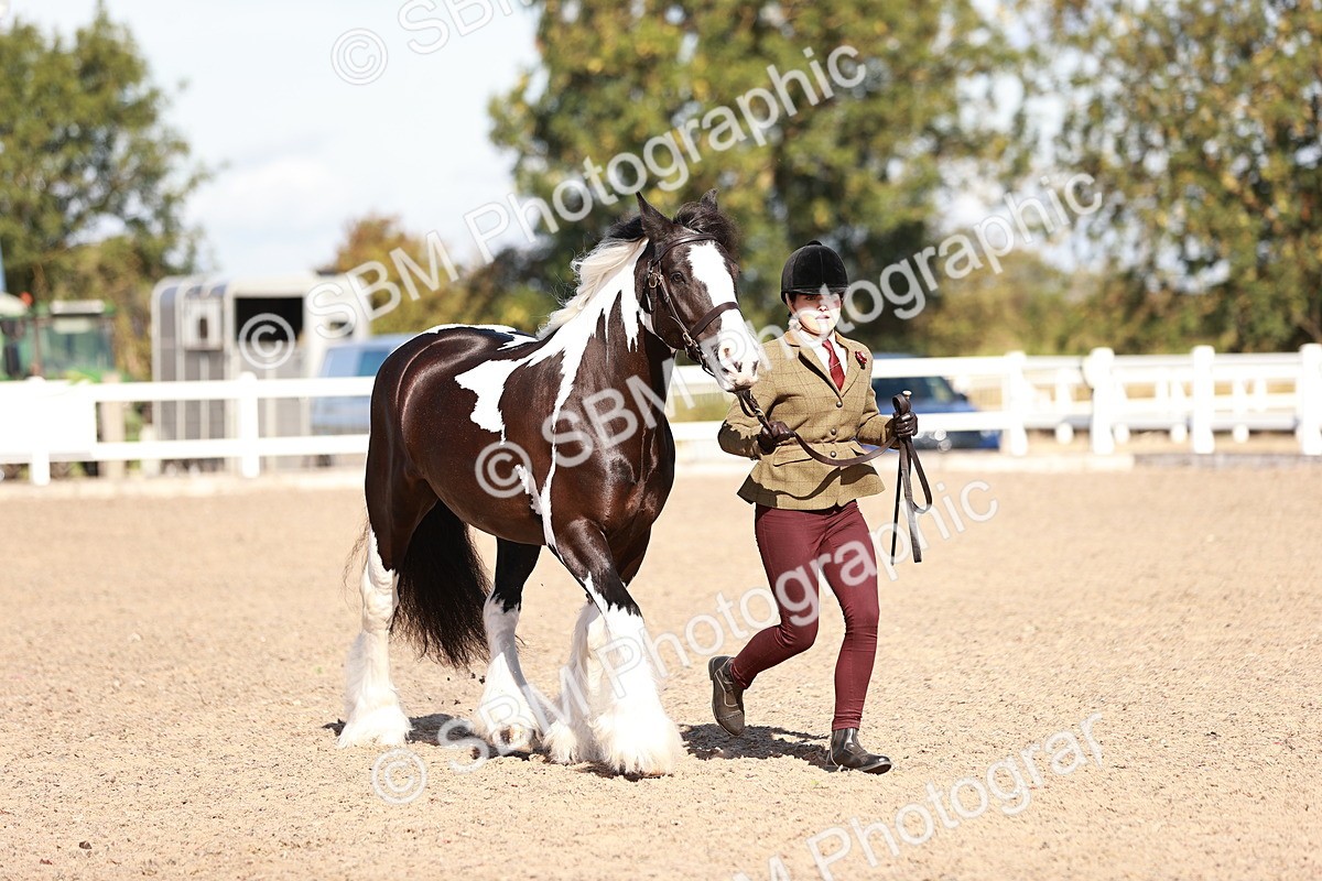 SBM_12606 - Class 404 - IH Traditional - Native Cob