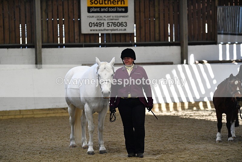 WJ5_3920 - Class 5 In Hand Veterans