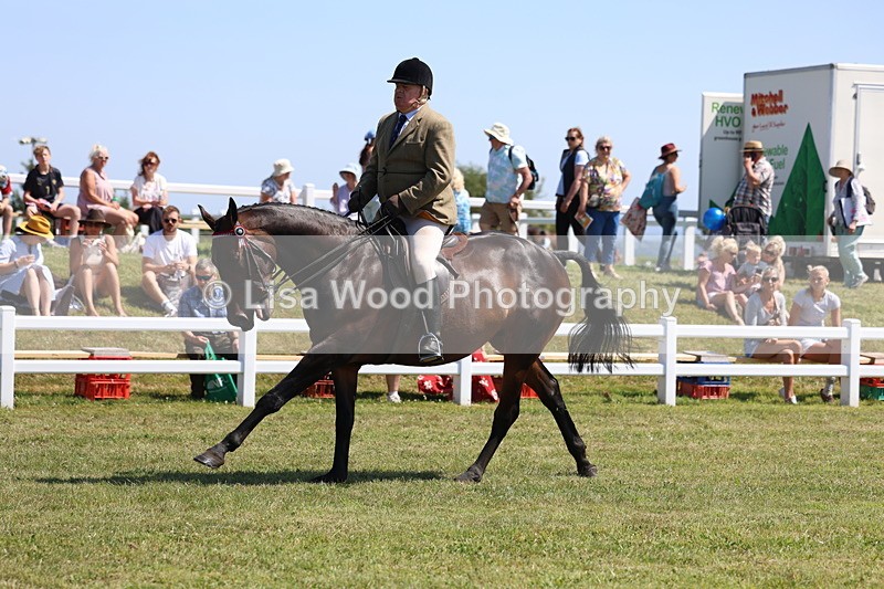 3E7A7772 - Class 7: Open Riding Horse