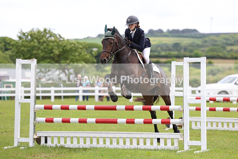 3E7A7202 - Class 13: Senior British Novice/90cm open