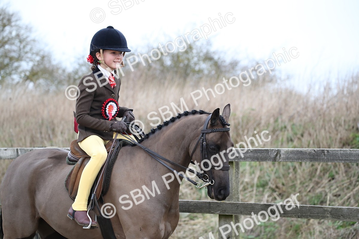 SBM_004785 - Class 5-9 - NPS In Hand-Show Hunter-Intermediate Ridden Inc Ridden Championship