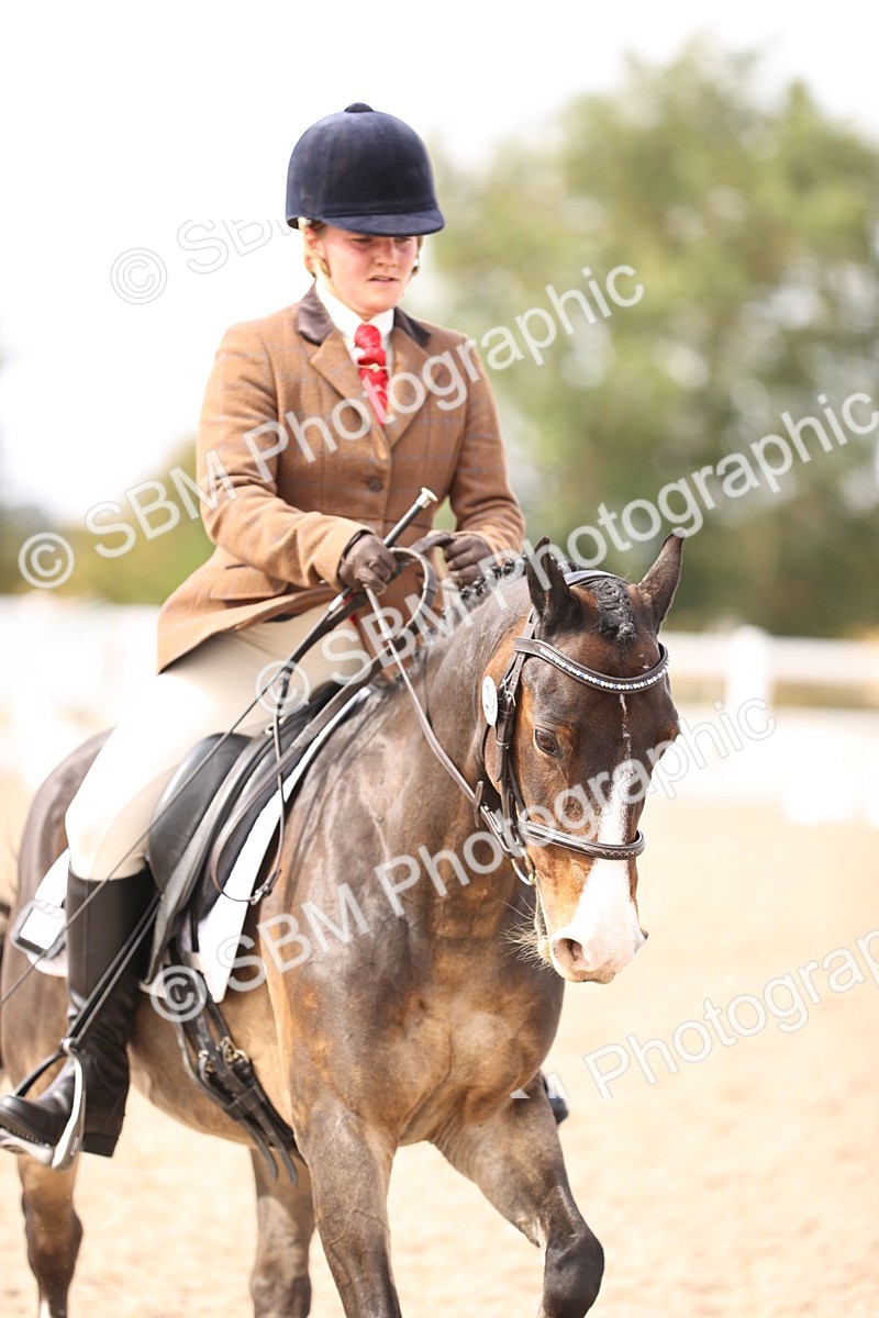 SBM_06069 - Class 37 Novice 5