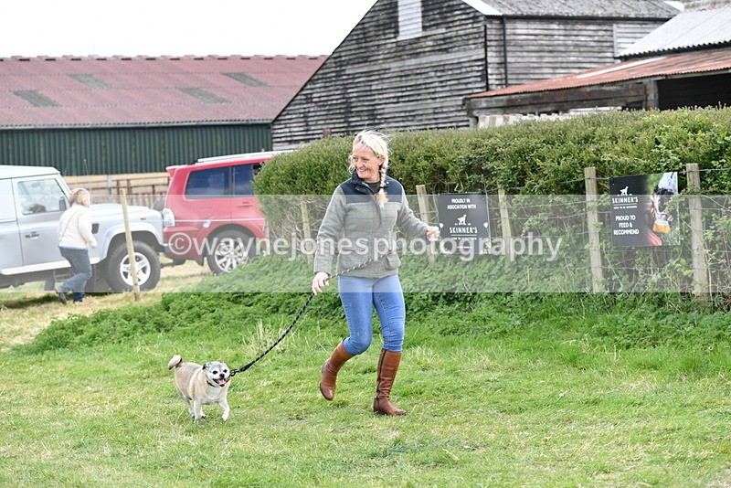 WJ5_0086 - Class 5 Best Veteran / 7 years & over