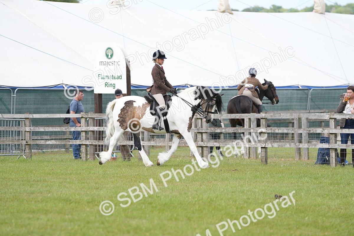 SBM_17219 - Class 107-108 - LIHS BSPS Performance Coloured Horse Pony