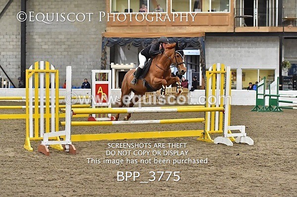 BPP_3775 - FRI CLASS 21 BR NOVICE/90CM