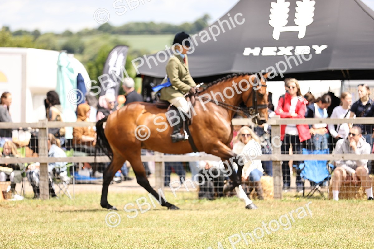 SBM_14799 - Class 88-89 - LIHS BSHA Rising Star of Ridden Hunter Type