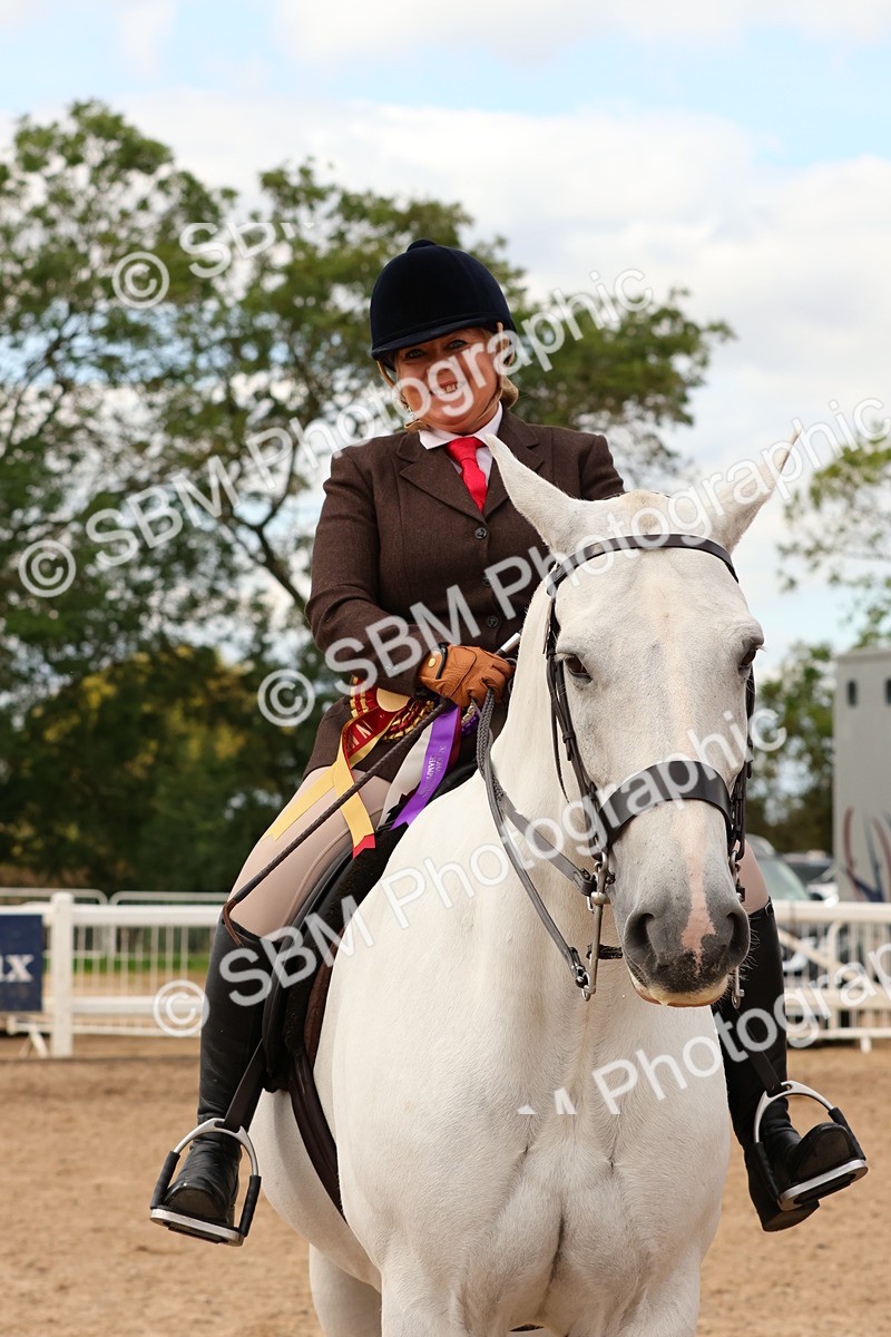 SBM_15606 - Class 214 - Ridden Show Cob