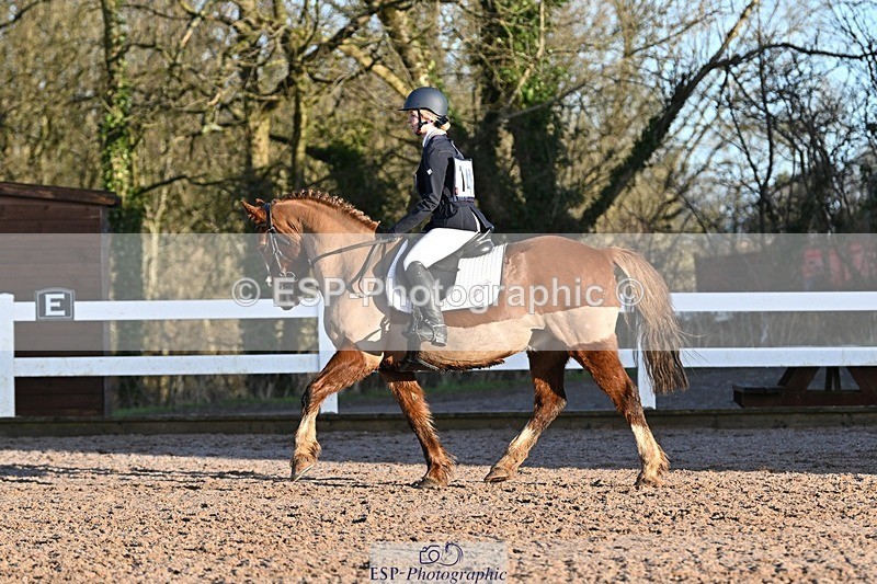 250125-092840-00051 - Dressage - CT Class 1 & 2 Intro 1