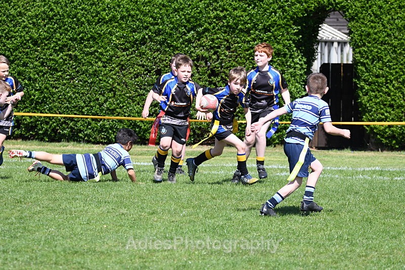  - Selby Rugby Festival 2025