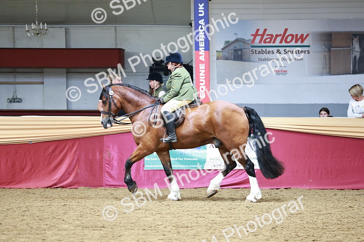 SBM_03616 - Class 6A Area Ridden Pre-Vet