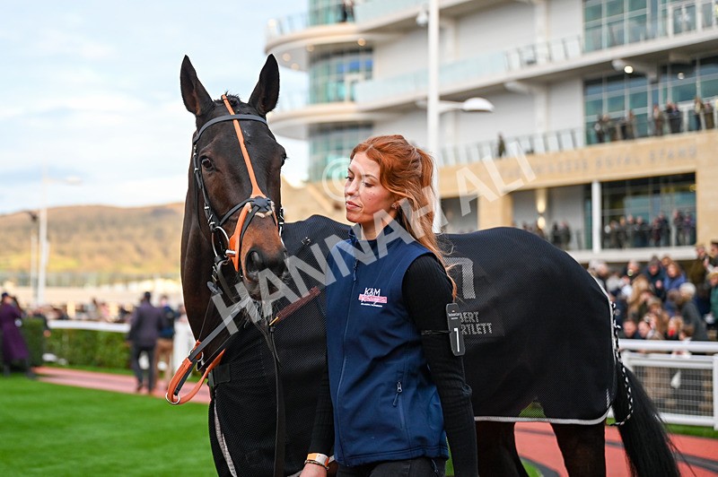 141224-Race 6-Yellow Car-0840