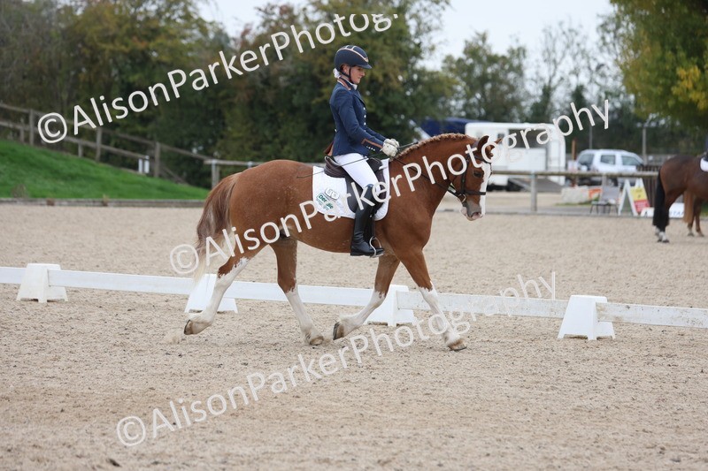 20251011-0349 - Class 3 - Prelim 2