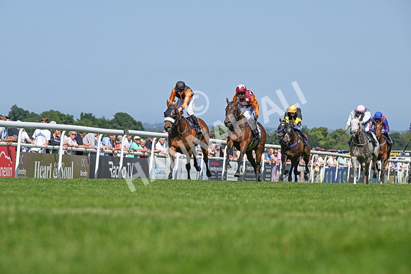 250624-Race 4-Lincoln Rockstar-9173 - Race 4