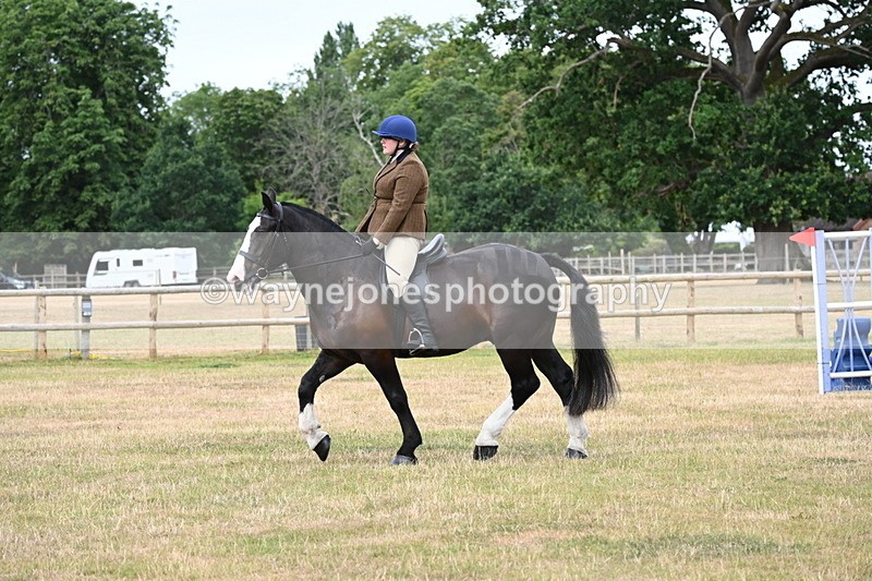 WJ6_3874 - Class 9 Tack & Turnout