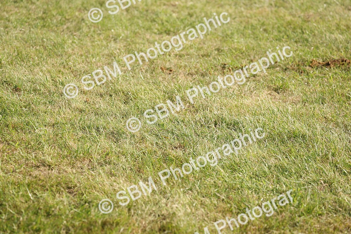 SBM_10225 - Class 33-38 - SSADL RIHS Qualifiers