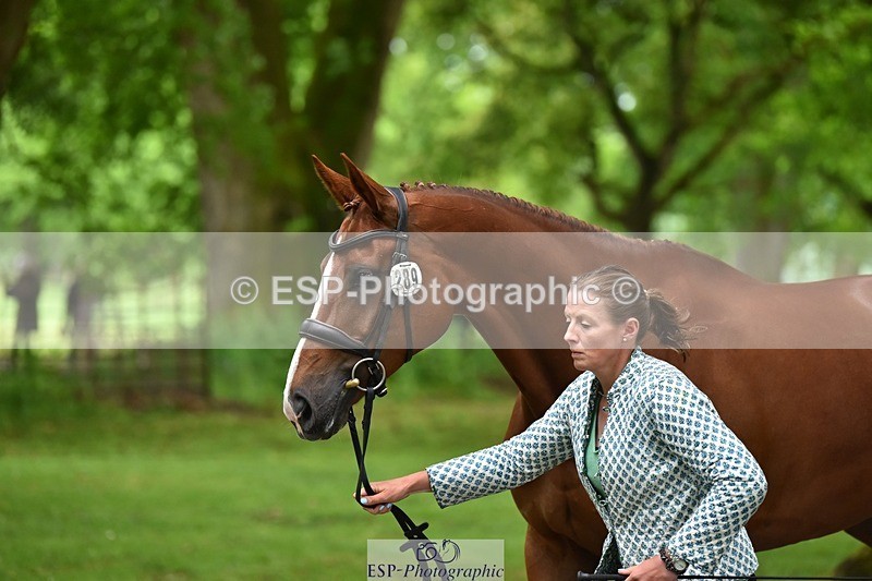 240522-172756-01627 - 289-JUST_A_JOLLY-Flora_Harris