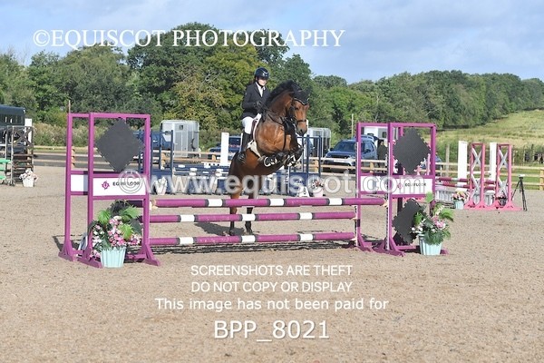 BPP_8021 - CLASS 31 SUN Club/ Unaffiliated 80cms Open