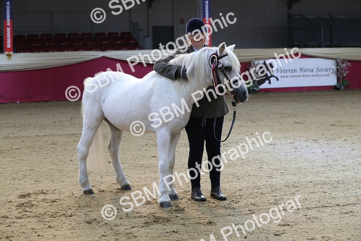 SBM_00342 - Class 1a - Area IH Diamond
