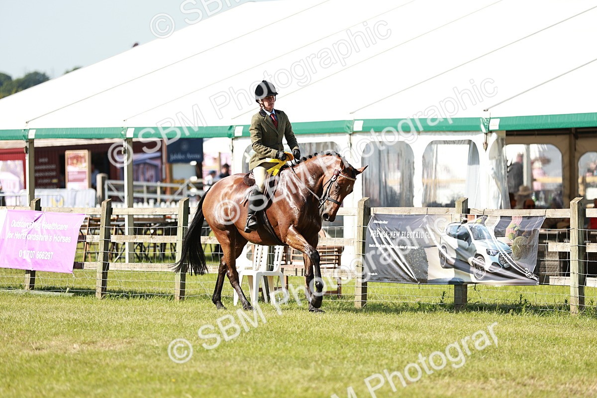SBM_18962 - Class 114 - RIHS & SEIB Open Working Show Horse