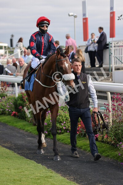 yr23072021r1-14 - Race 1 6.00pm John Wright Electrical Silk Series Lady Riders Handicap