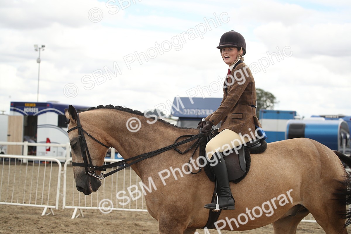 SBM_16670 - Class 507a - Working Veteran - 60cm (15-19)