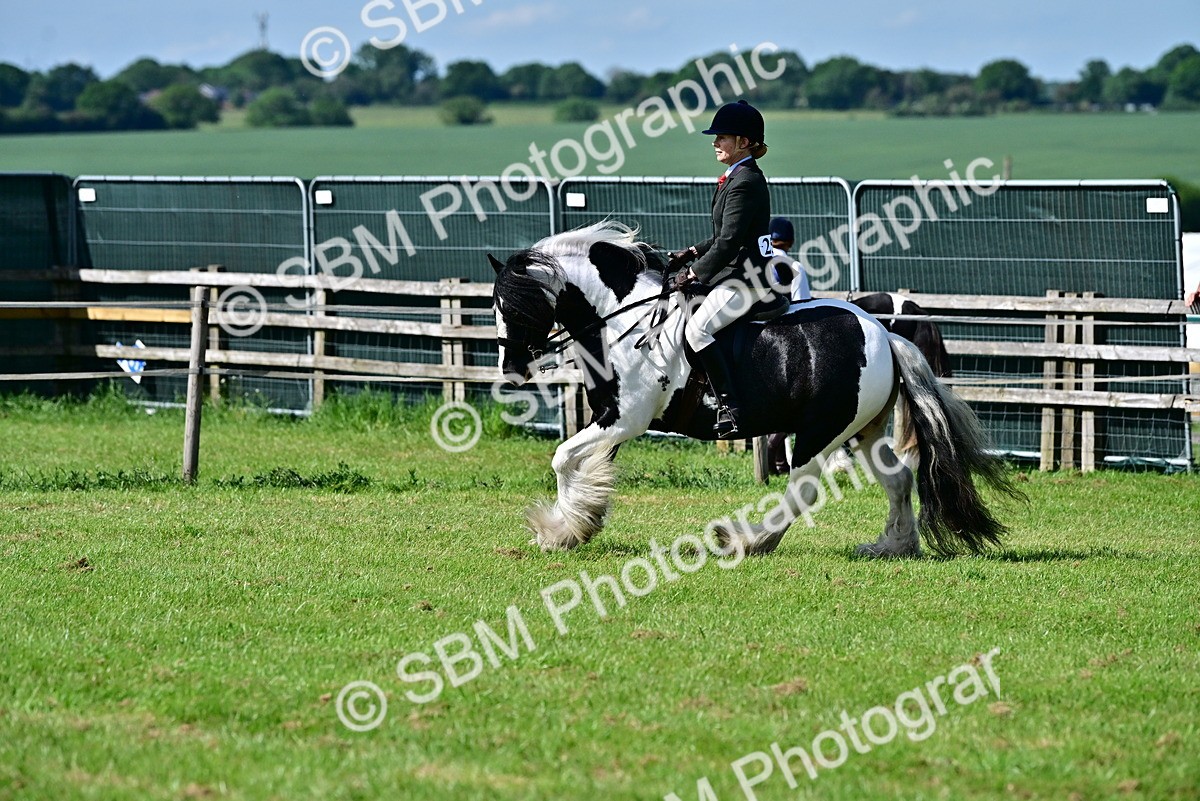 SBM_09349 - Class 63-65 - Traditional Gypsy Cobs In Hand & Ridden
