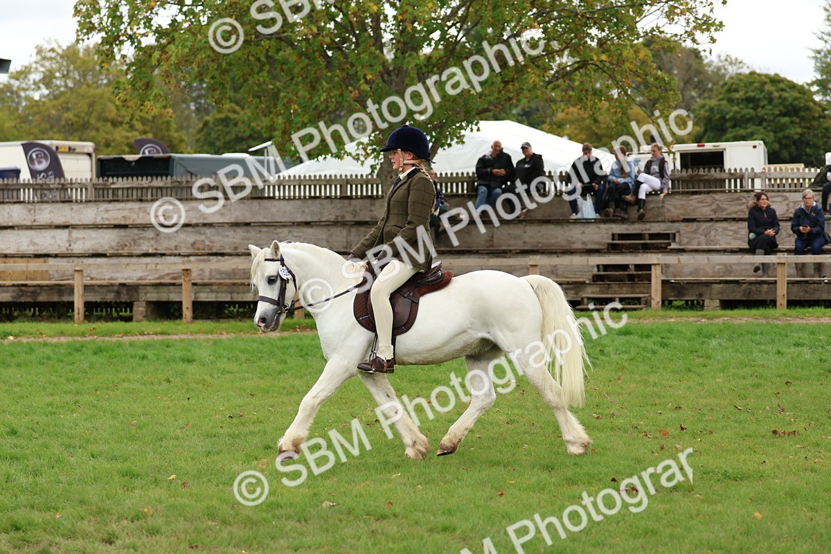 SBM_67416 - S61 - Mountain & Moorland Ridden