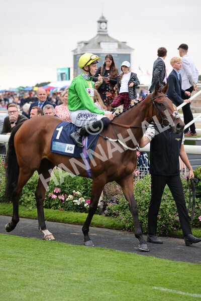 yr22072022r5-8 - Race 5 7.20pm British Stallion Studs EBF Lyric Fillies' Stakes