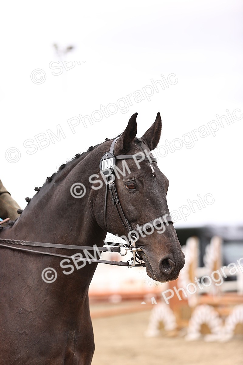 SBM_05672 - Class 59b - S+P 80cm (20+)
