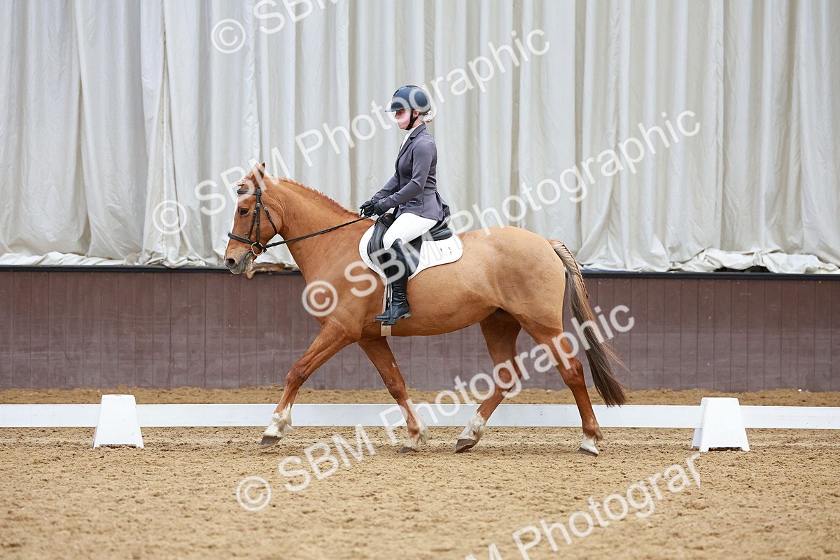 SBM_003817 - Class 11 - Novice 2