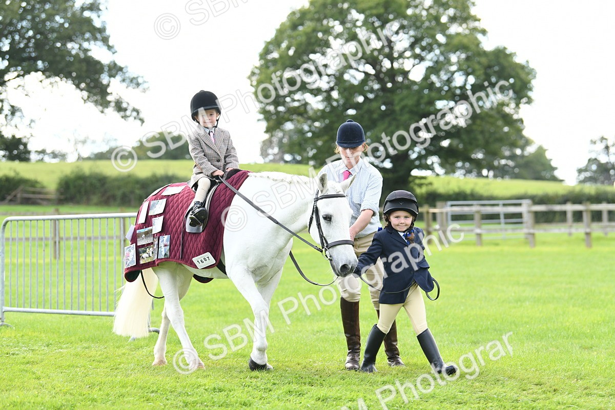 SBM_46708 - S12 - Family Horse & Pony