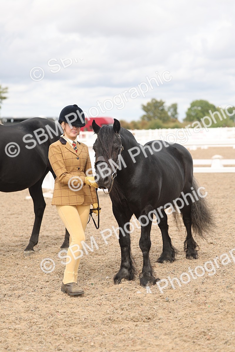 SBM_05003 - Class 20 - IH Veteran