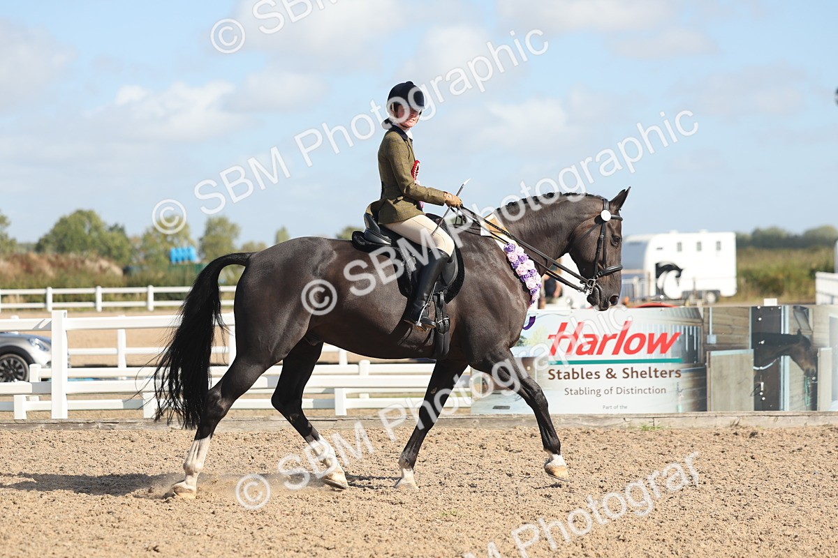 SBM_22704 - Class 805 - Ridden Veteran Horse