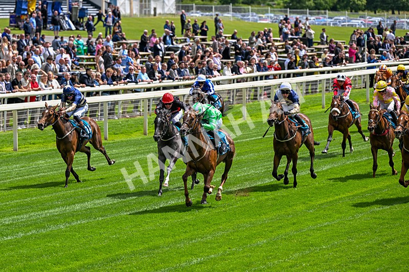 120626-Race 2-Everatease-6814 - Race 2 14.25pm Constant Security Keeping York Racegoers Safe Rous Selling Stakes