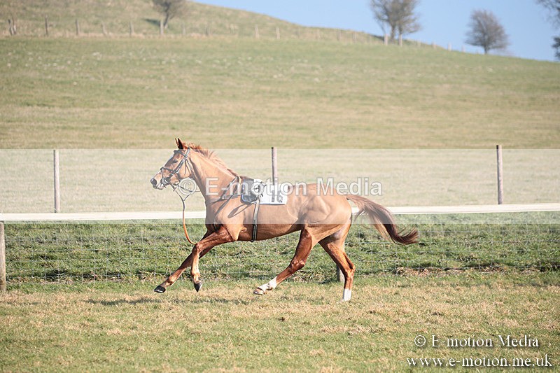 PtP 230219 168 - Vine & Craven Point-To-Point - Barbury 23/02/19