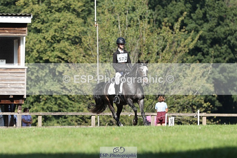 250823A-101820-26810 - Arena D